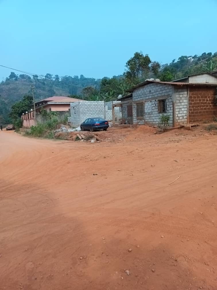 Plot and house standing 