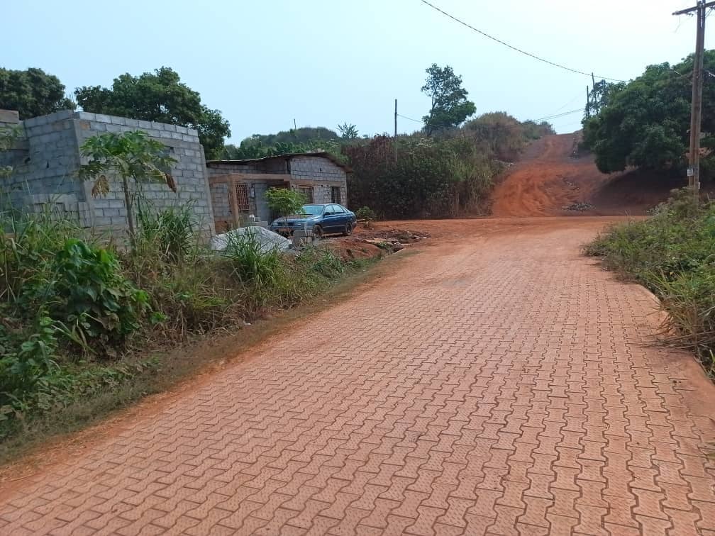 Plot and house standing  — photo 3