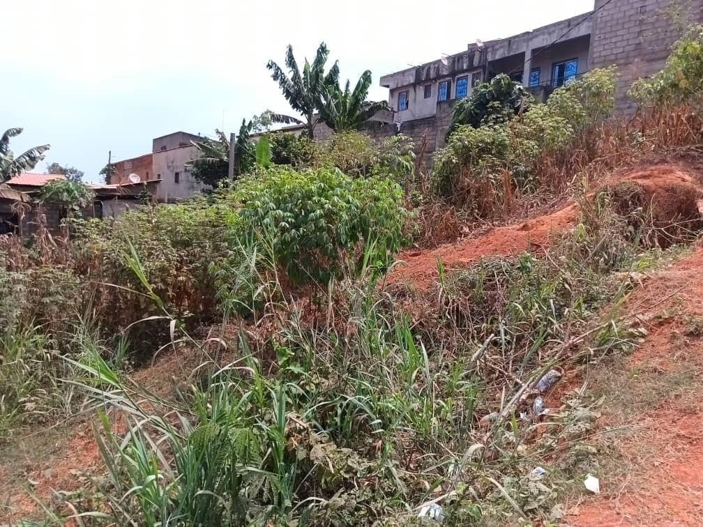 Plot area, 250m2 avaliable  — photo 3
