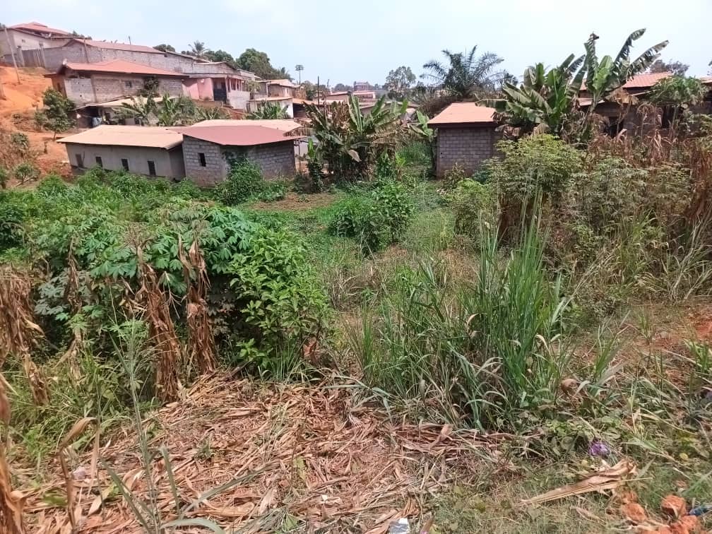 Plot area, 250m2 avaliable 
