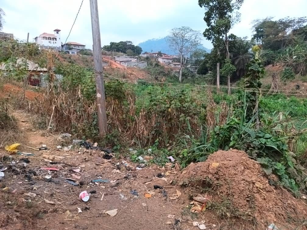 Plot area, 250m2 avaliable  — photo 7
