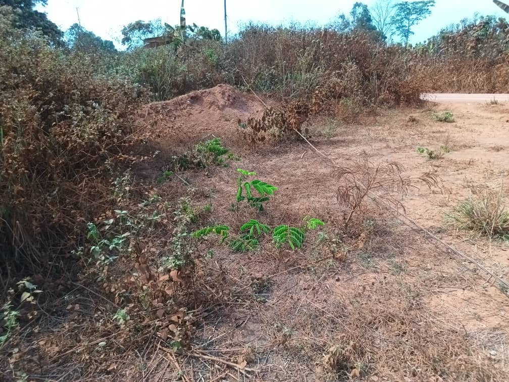 500m2 of Residential plot area standing. — photo 2