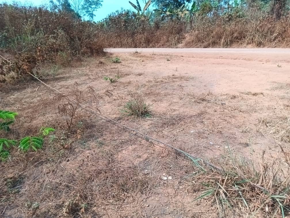 500m2 of Residential plot area standing. — photo 3