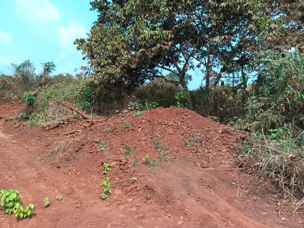 500m2 of Residential plot area standing. — photo 5