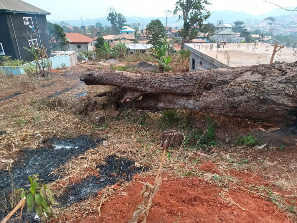 Well positioned 500m2 piece of land — photo 2