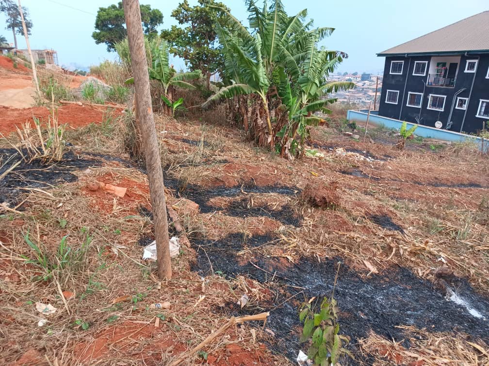 Well positioned 500m2 piece of land — photo 3