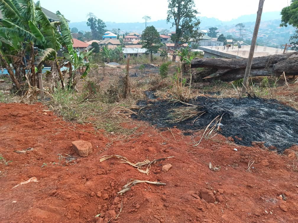 Well positioned 500m2 piece of land — photo 4