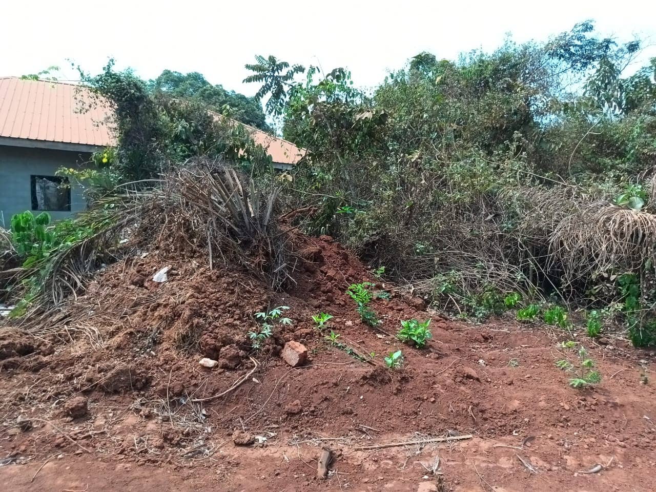 Plot Area, 500m2 available  — photo 5