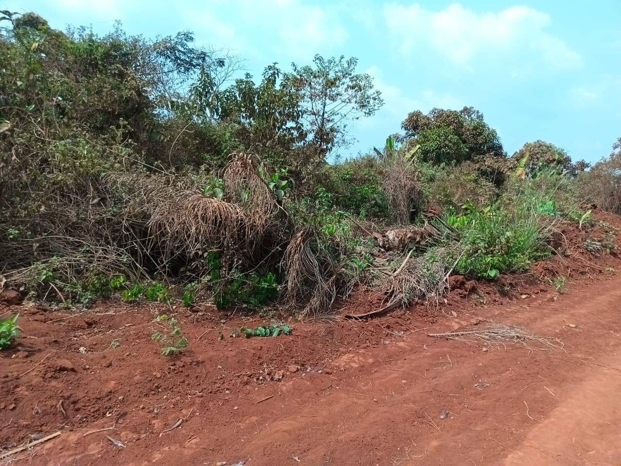 Plot Area, 500m2 available  — photo 6