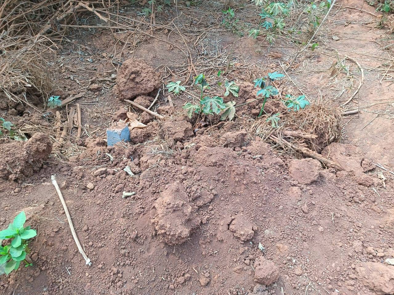 Plot Area, 500m2 available  — photo 7