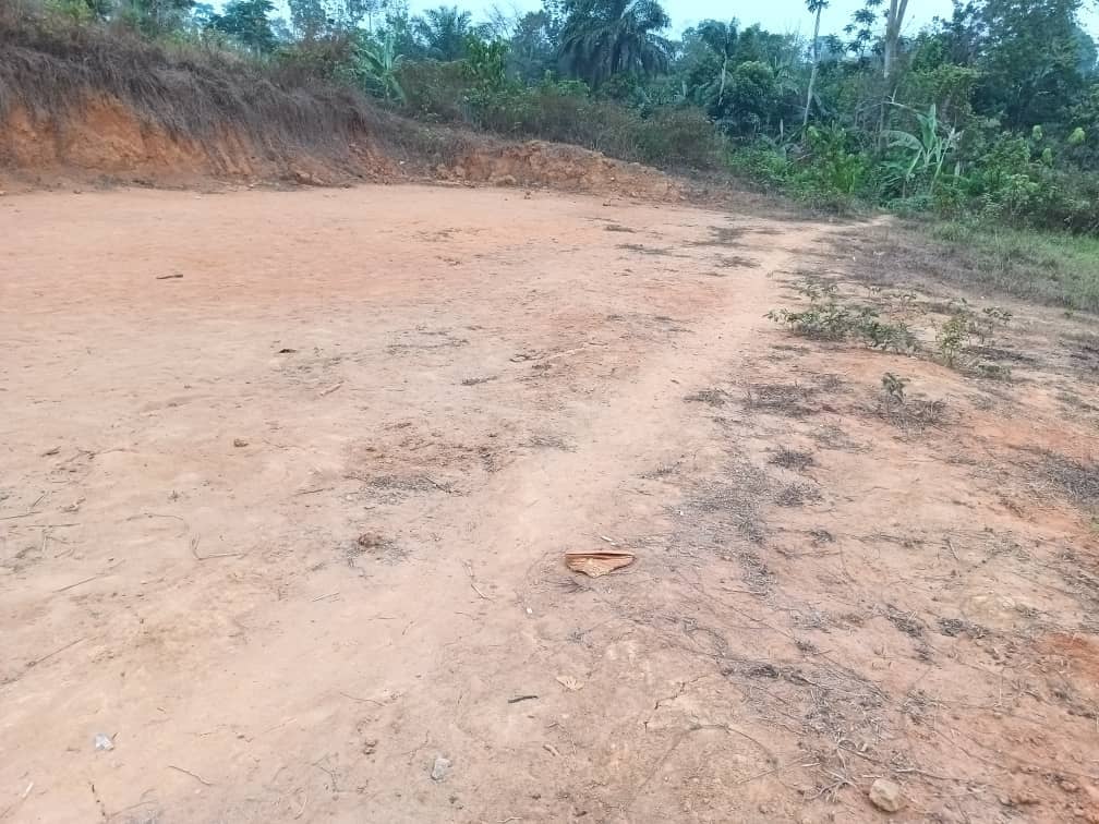 Plot area, 300m2 standing  — photo 2