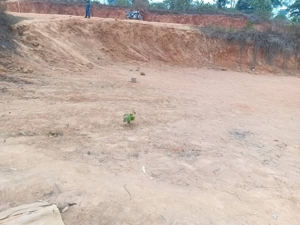 Plot area, 300m2 standing  — photo 4
