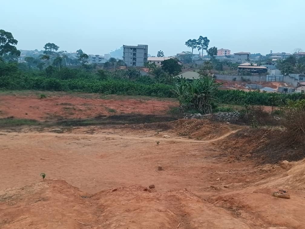 Plot area, 300m2 standing 