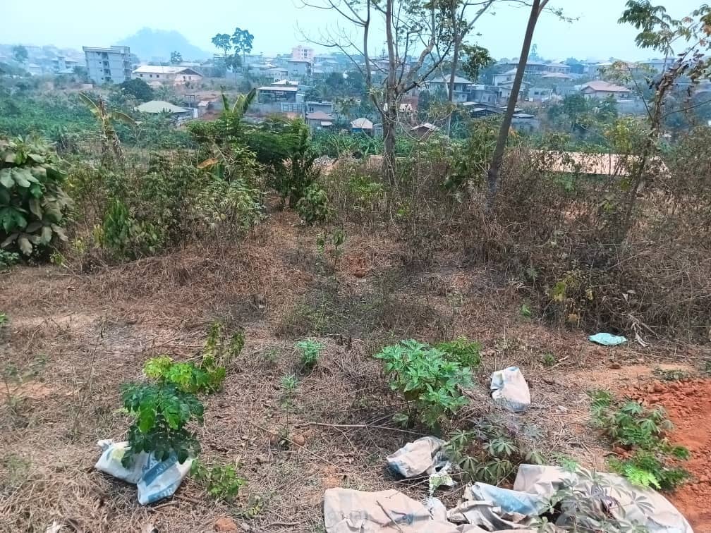 titled land for sale — photo 3