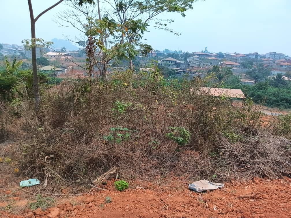 titled land for sale — photo 5