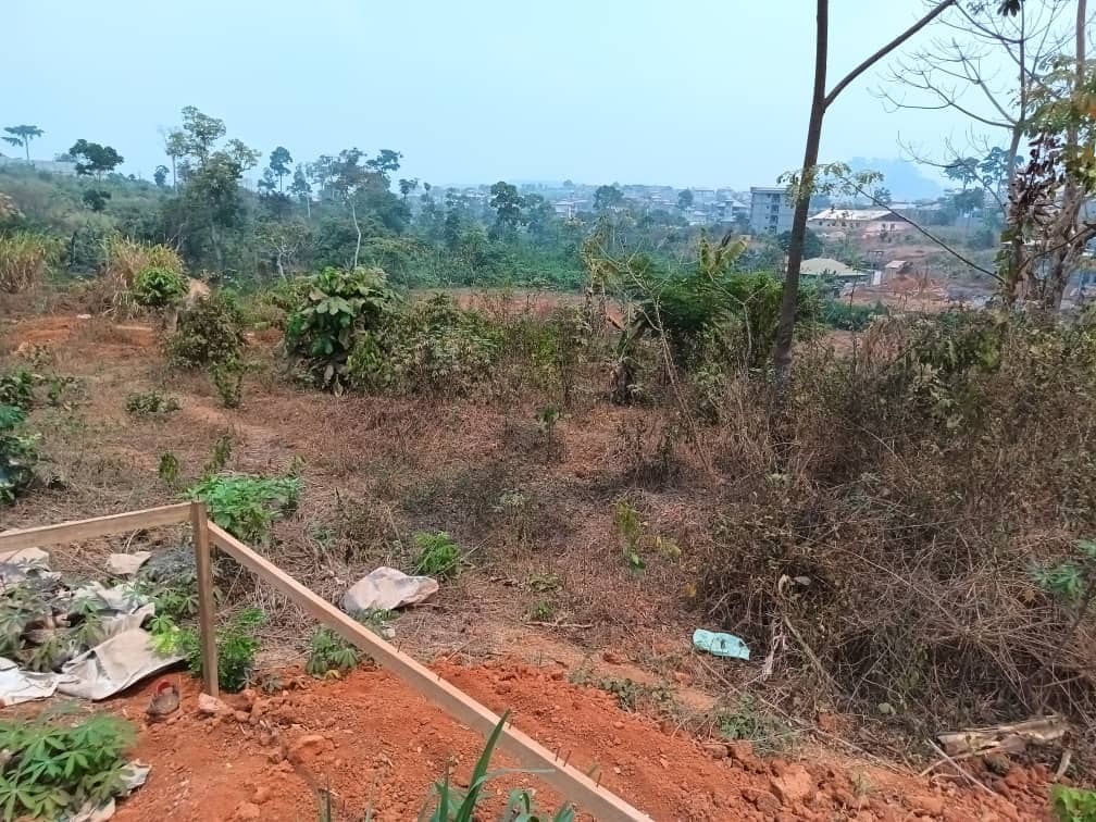 titled land for sale — photo 6