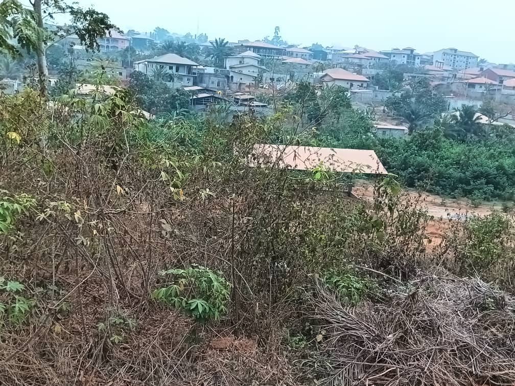 titled land for sale — photo 4