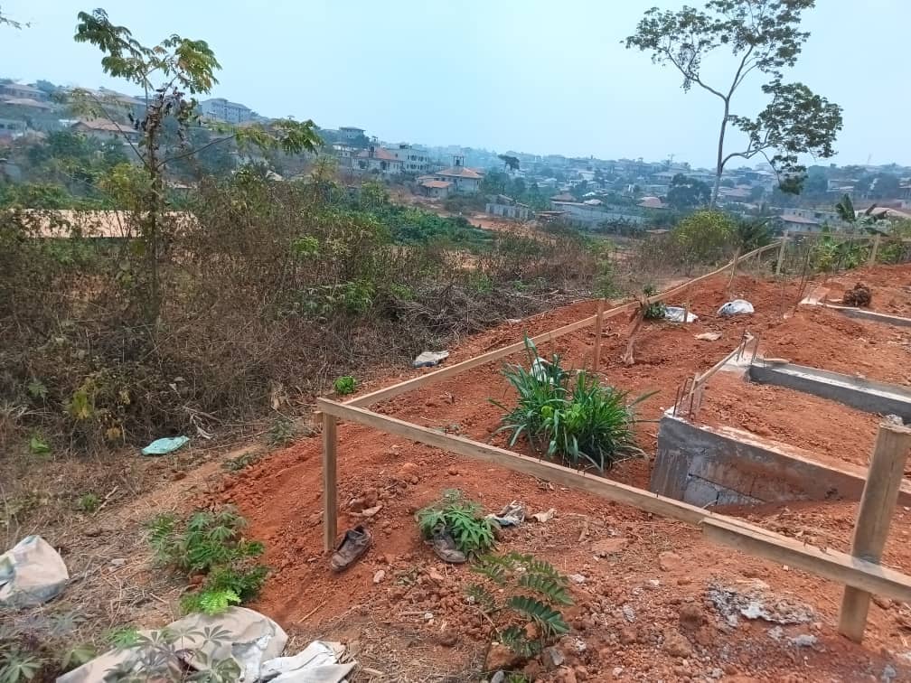 titled land for sale — photo 2