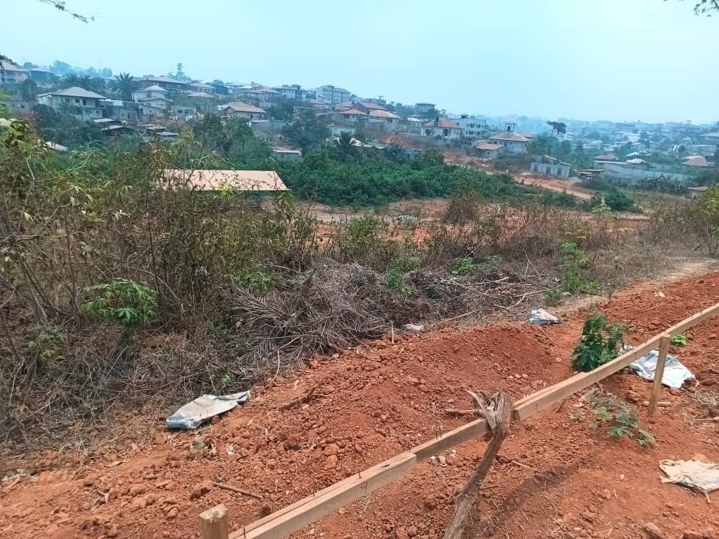 titled land for sale