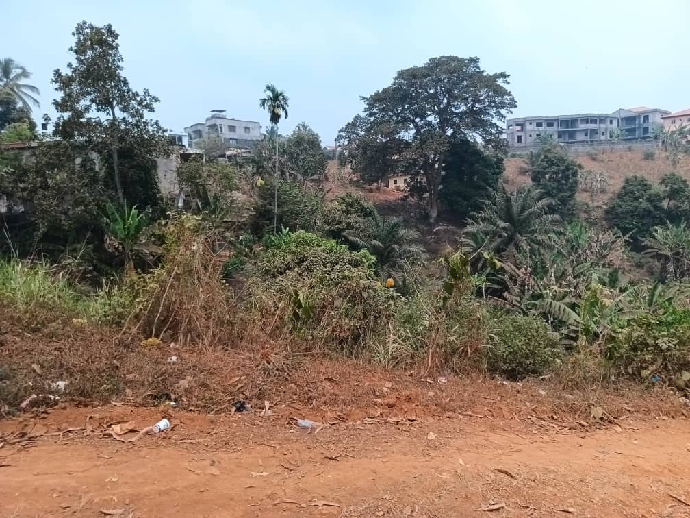 Plot area 500m2  — photo 4