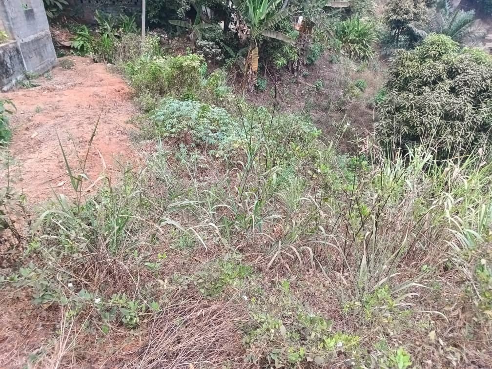 Plot area 500m2  — photo 5