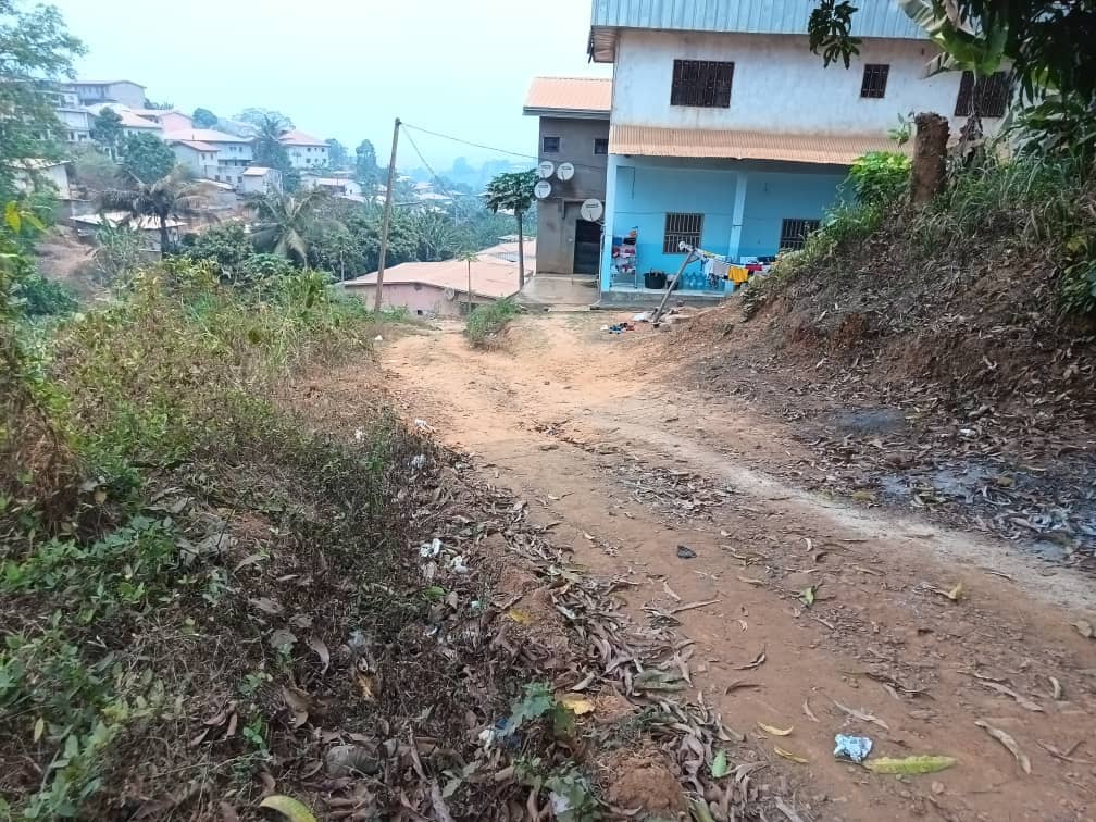 Plot area 500m2 