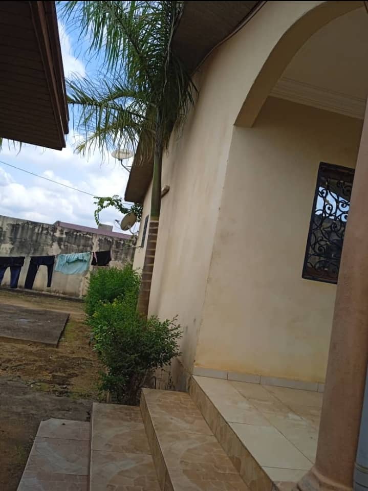 Duplex avec dépendance - Terminus abbatoir — photo 6