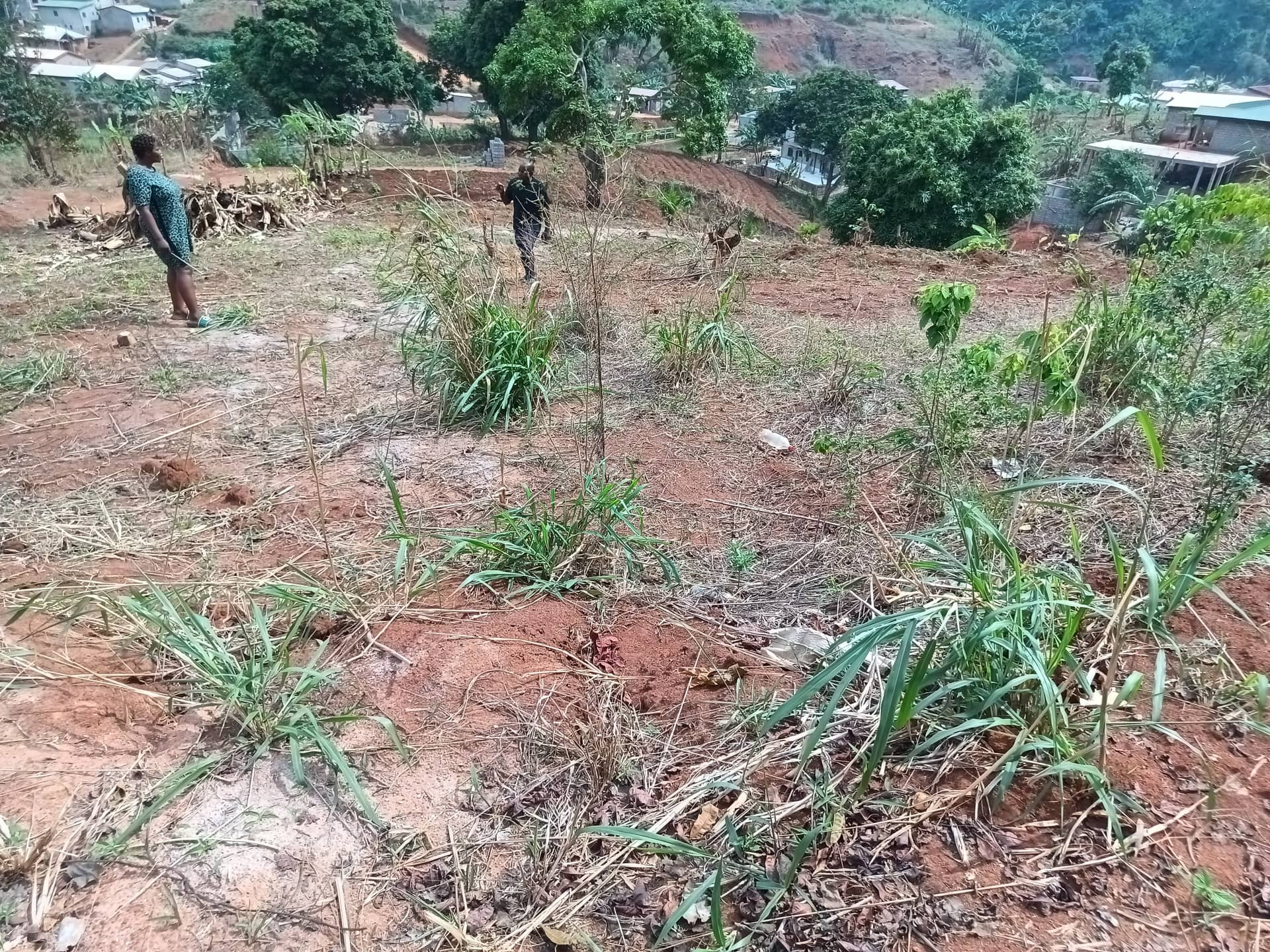 An outstanding plot area 250m2 