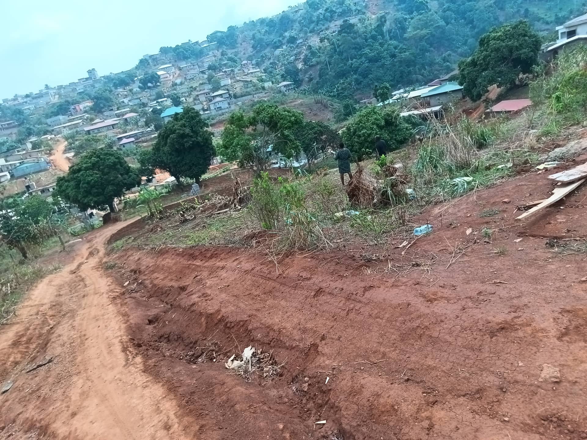 An outstanding plot area 250m2  — photo 4