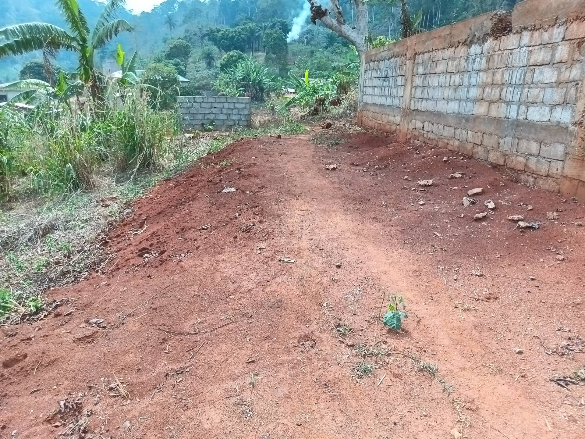 An outstanding plot area 250m2  — photo 5