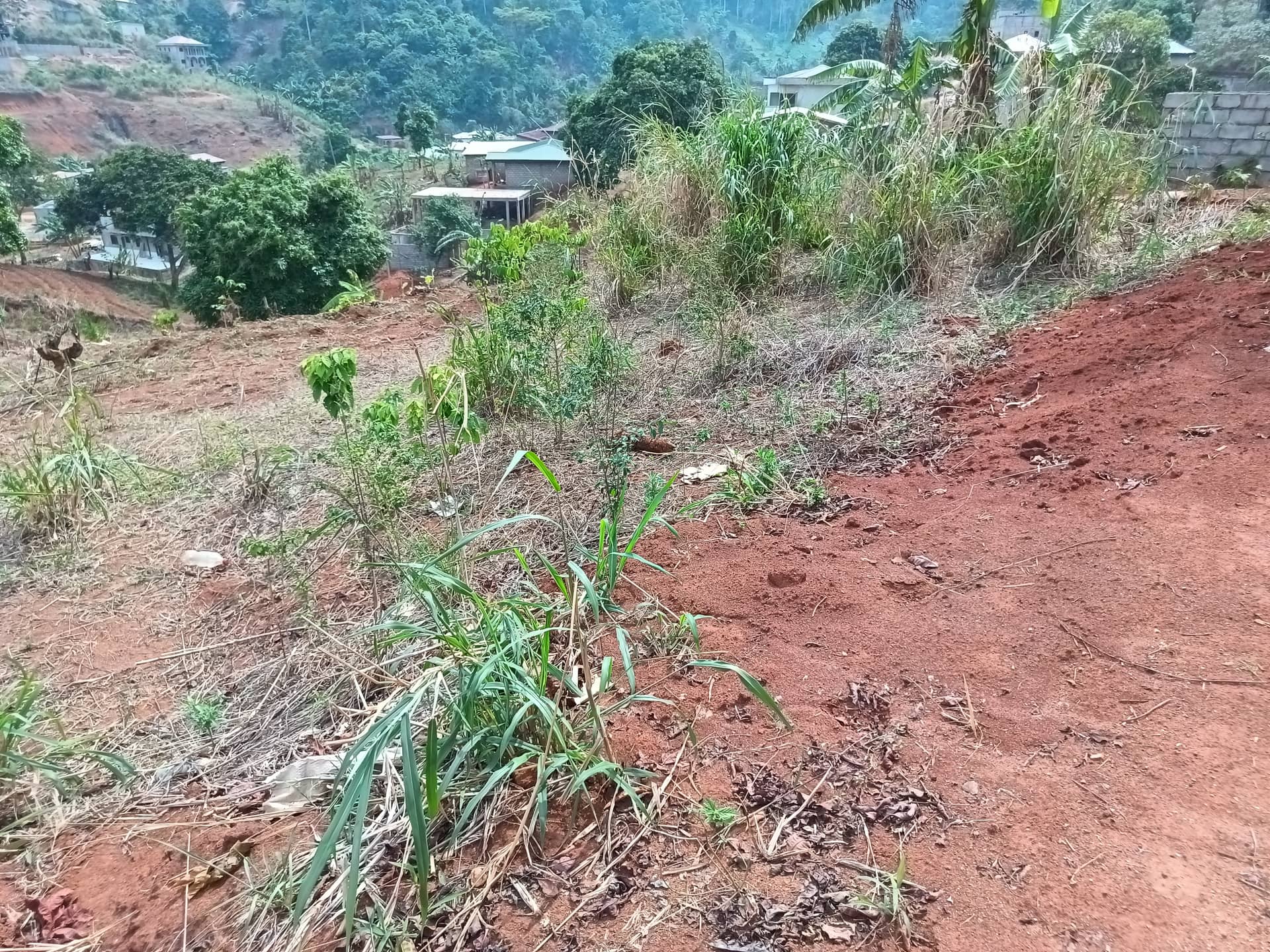 An outstanding plot area 250m2  — photo 6