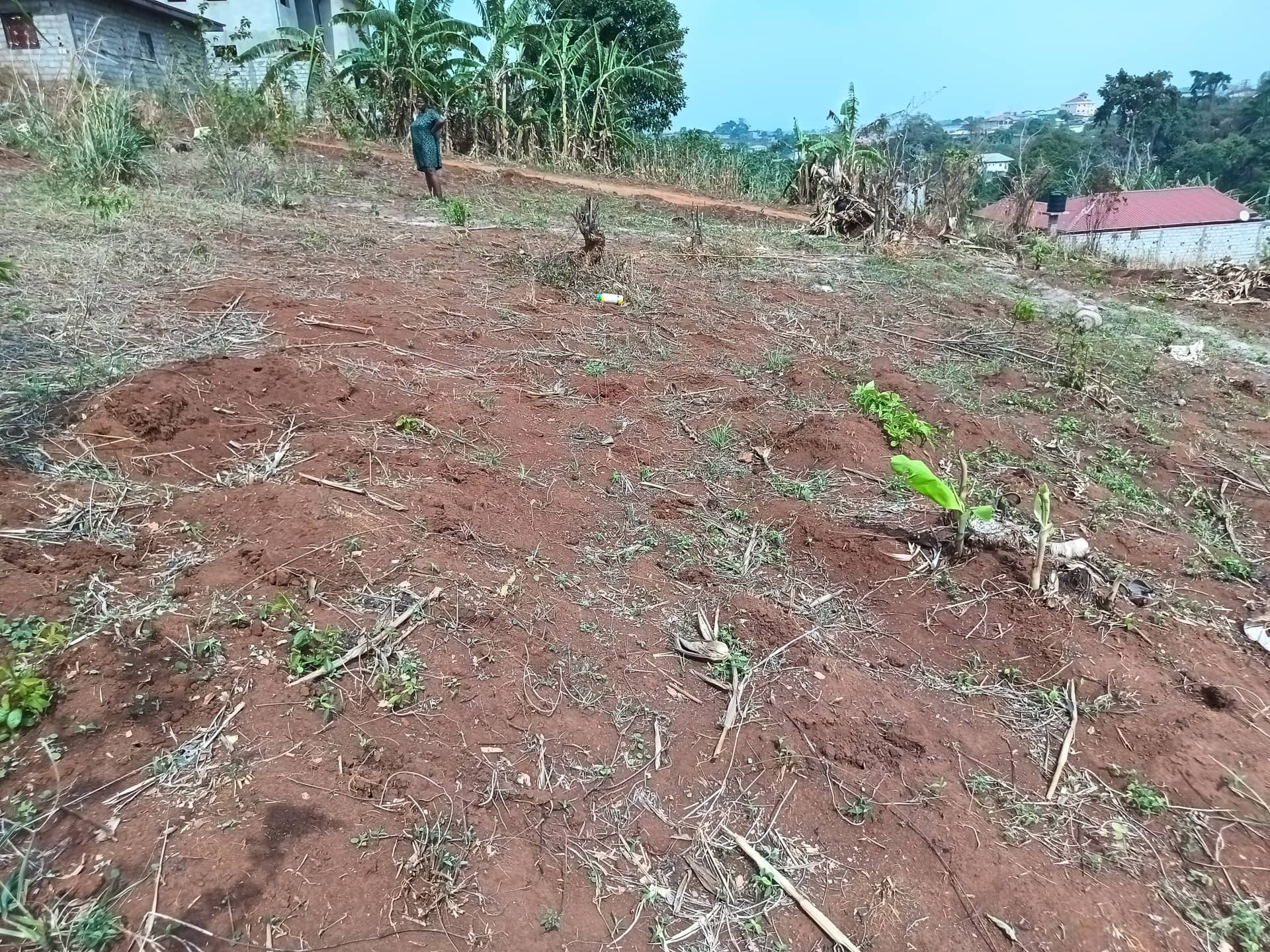 An outstanding plot area 250m2  — photo 7