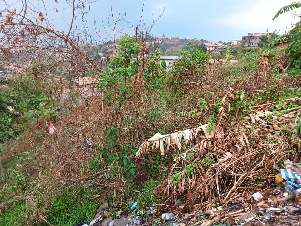 plot for sell — photo 2