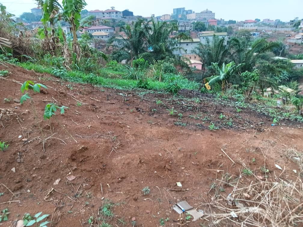 plot for sell — photo 3