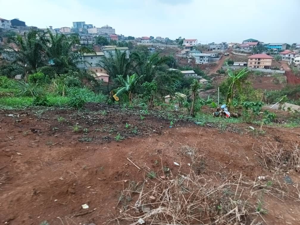 plot for sell — photo 4