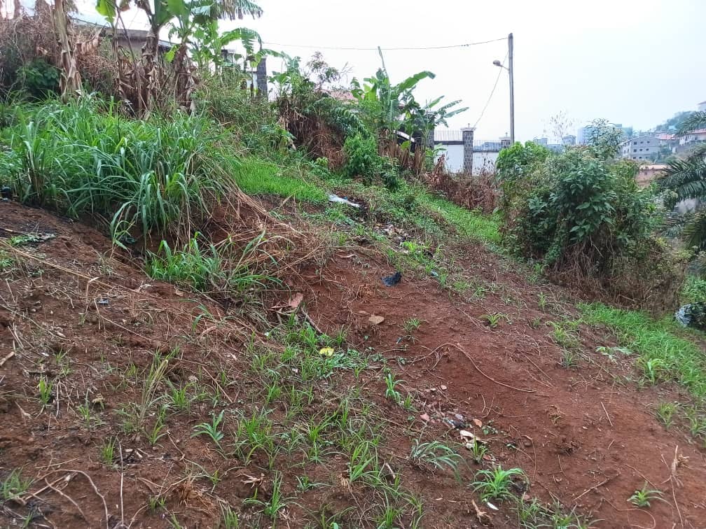 plot for sell — photo 5