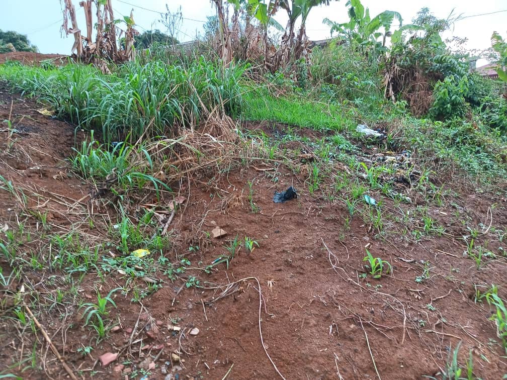 plot for sell — photo 6
