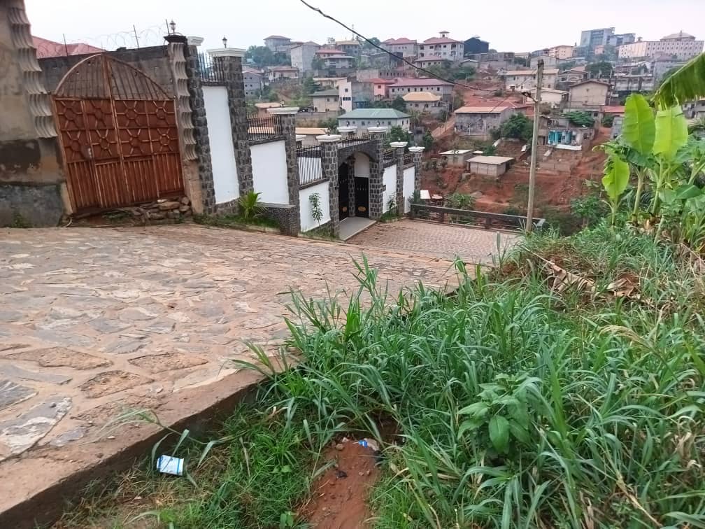 plot for sell — photo 7