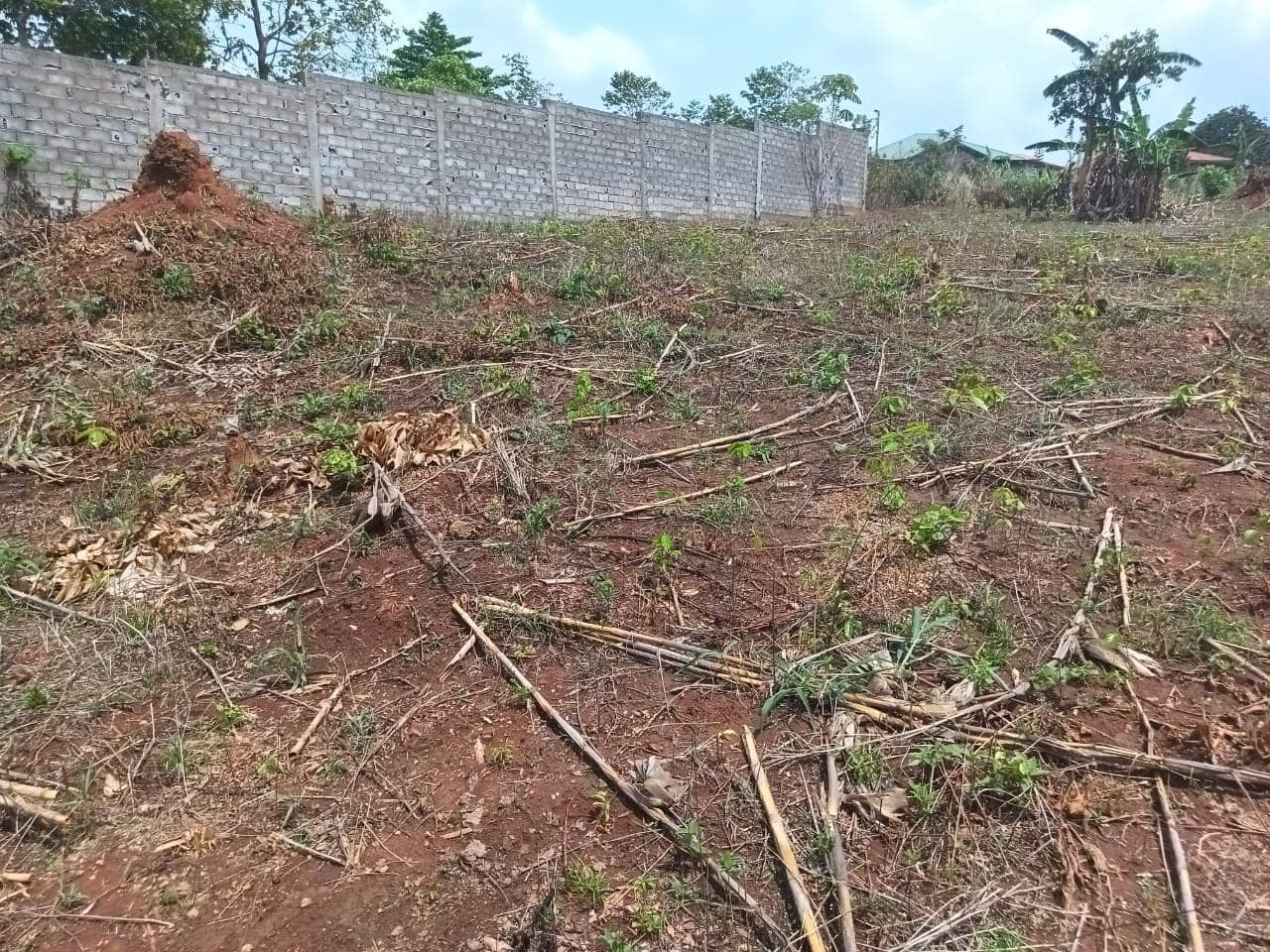 A fenced plot area 2000m2
