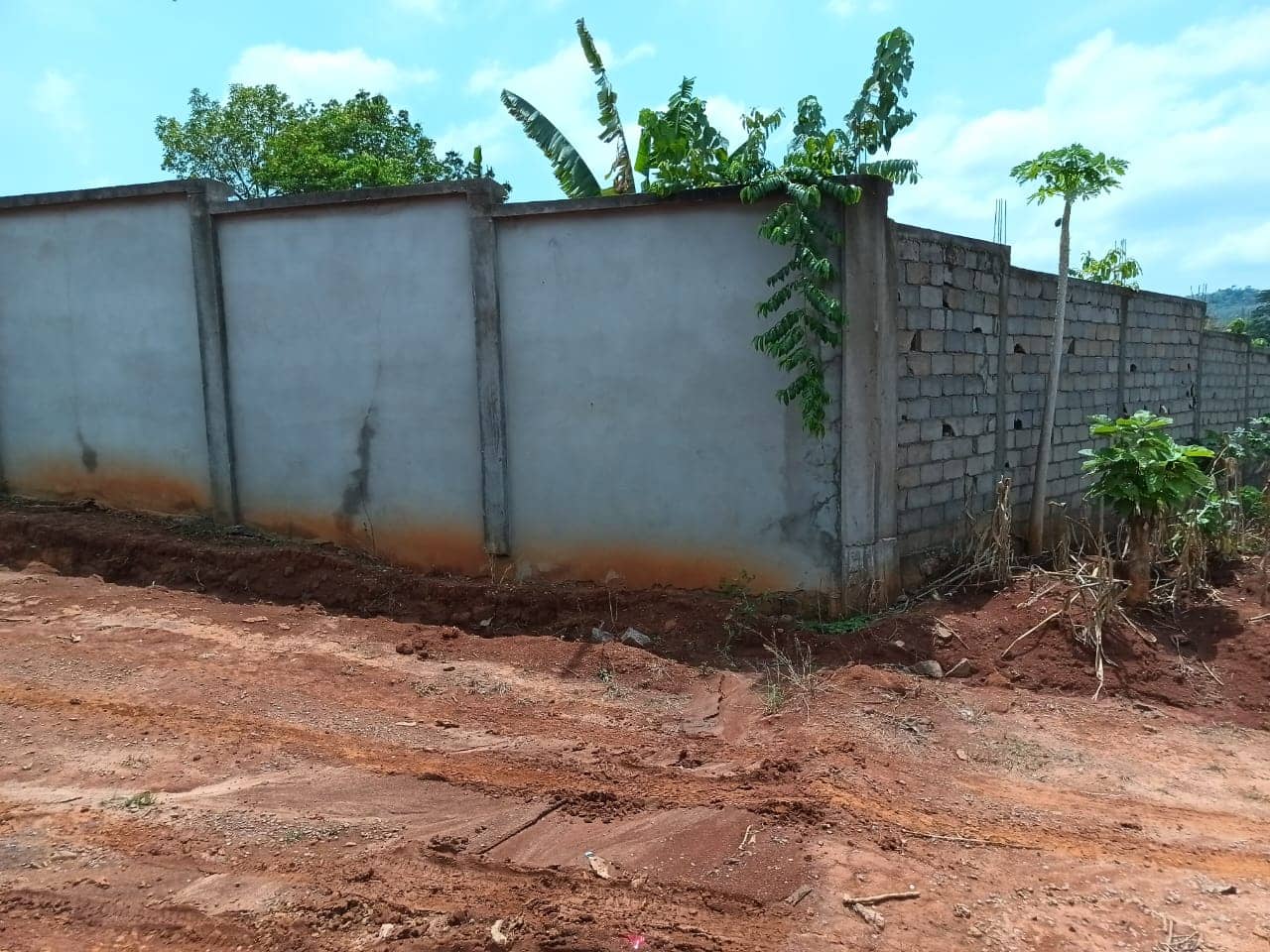 A fenced plot area 2000m2 — photo 6
