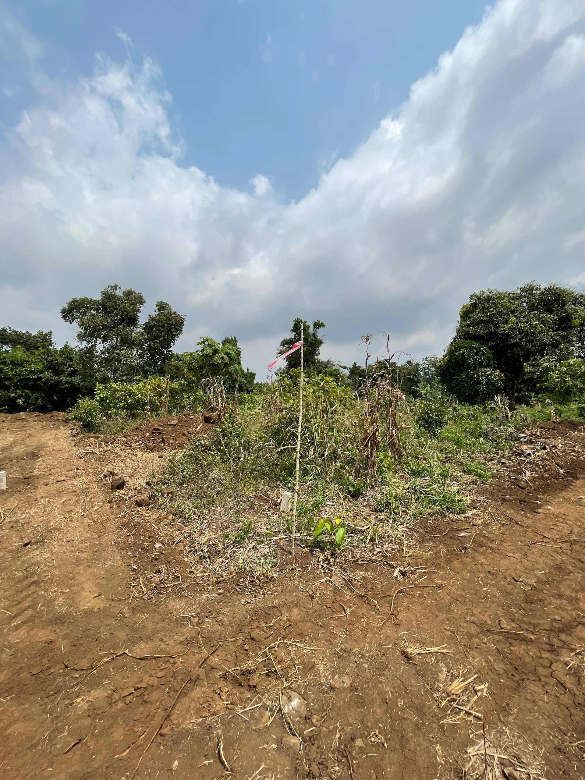 Land for sale at Sandpit Wojonku  — photo 7