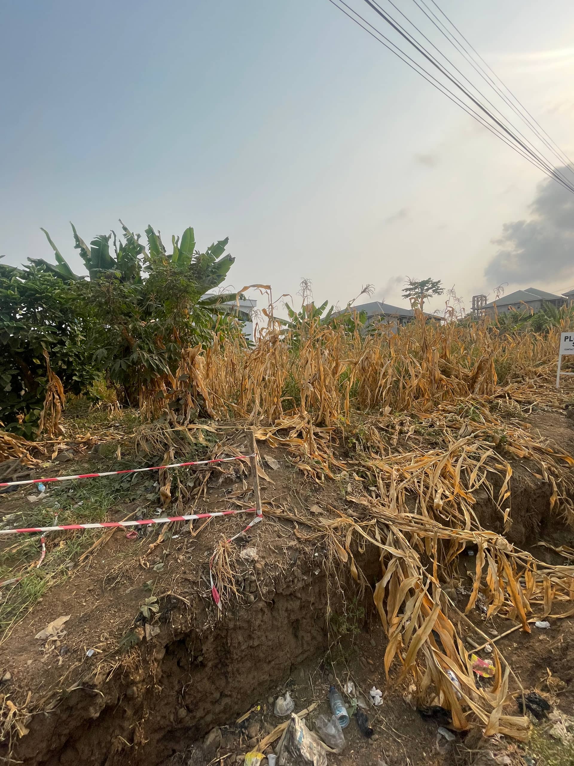 Land for Sale at St Luke Junction Buea  — photo 3