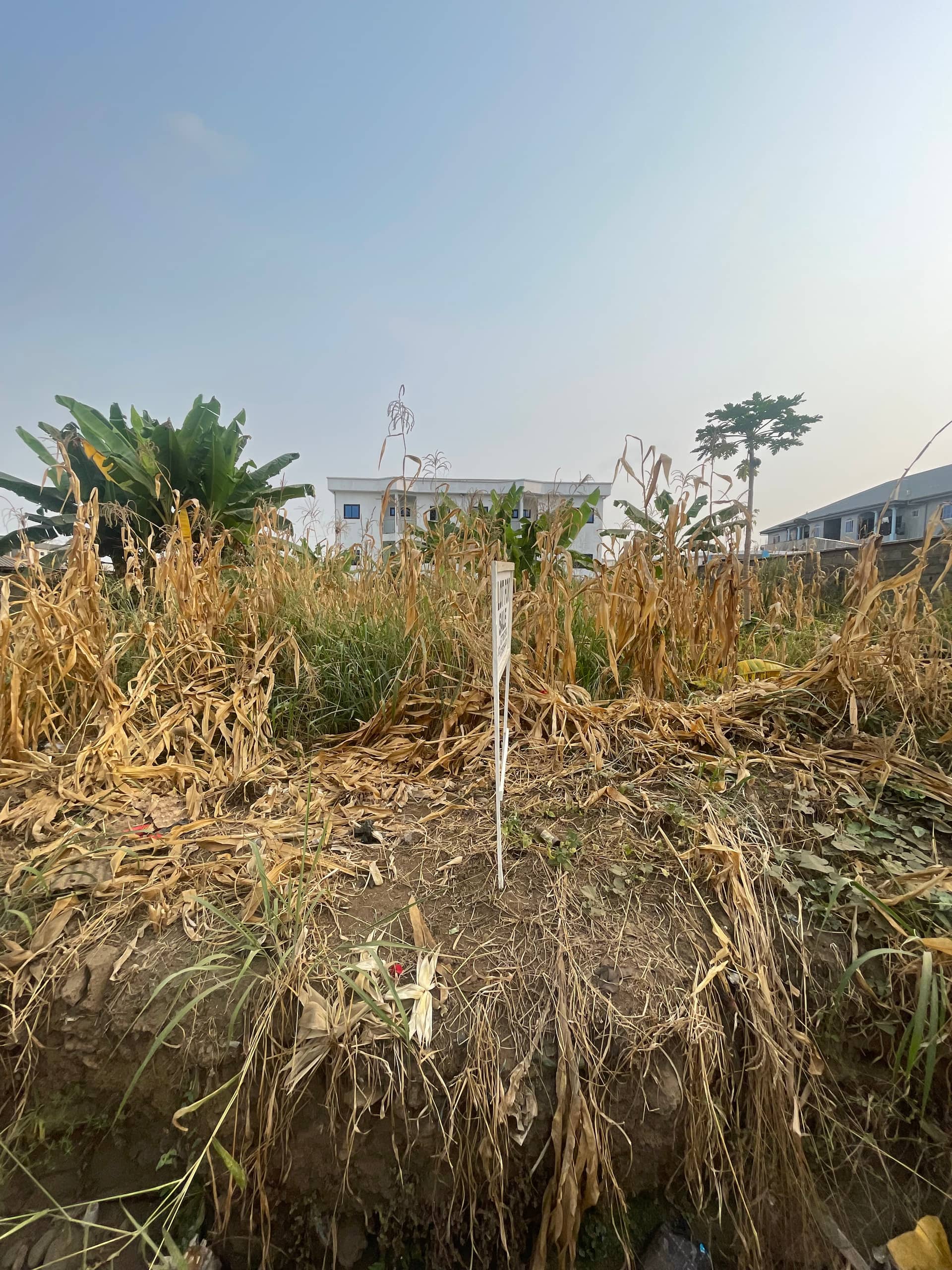Land for Sale at St Luke Junction Buea  — photo 5