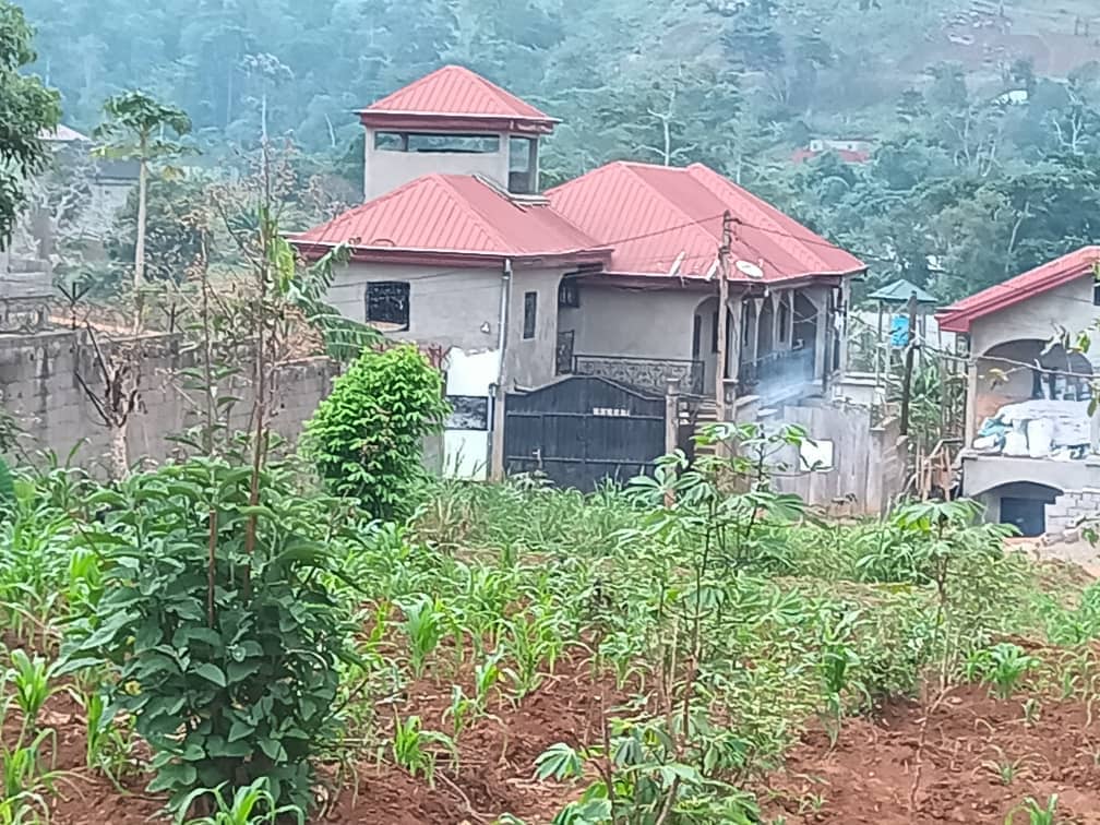 Modern studio available 