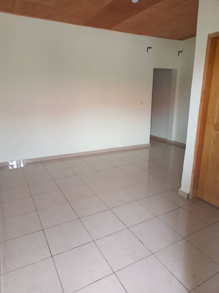 Modern studio available  — photo 6