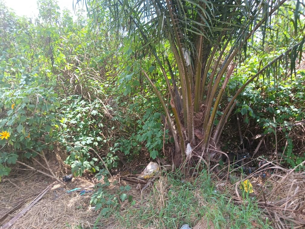 200m2 plot Area standing  — photo 4