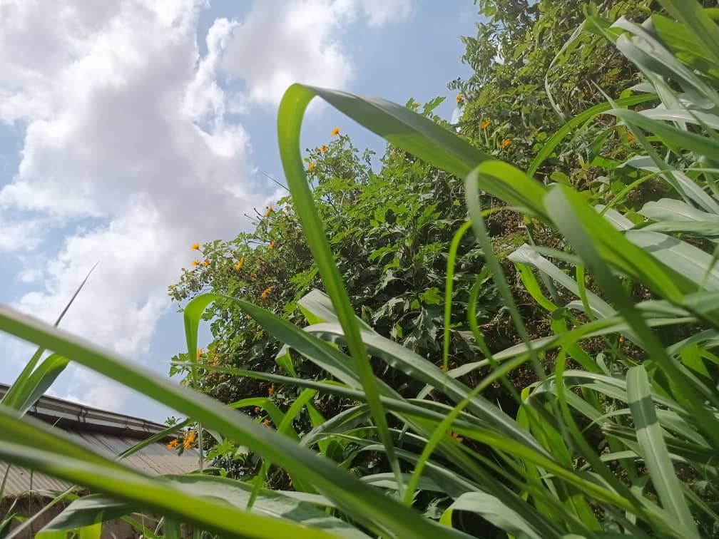 200m2 plot Area standing  — photo 5