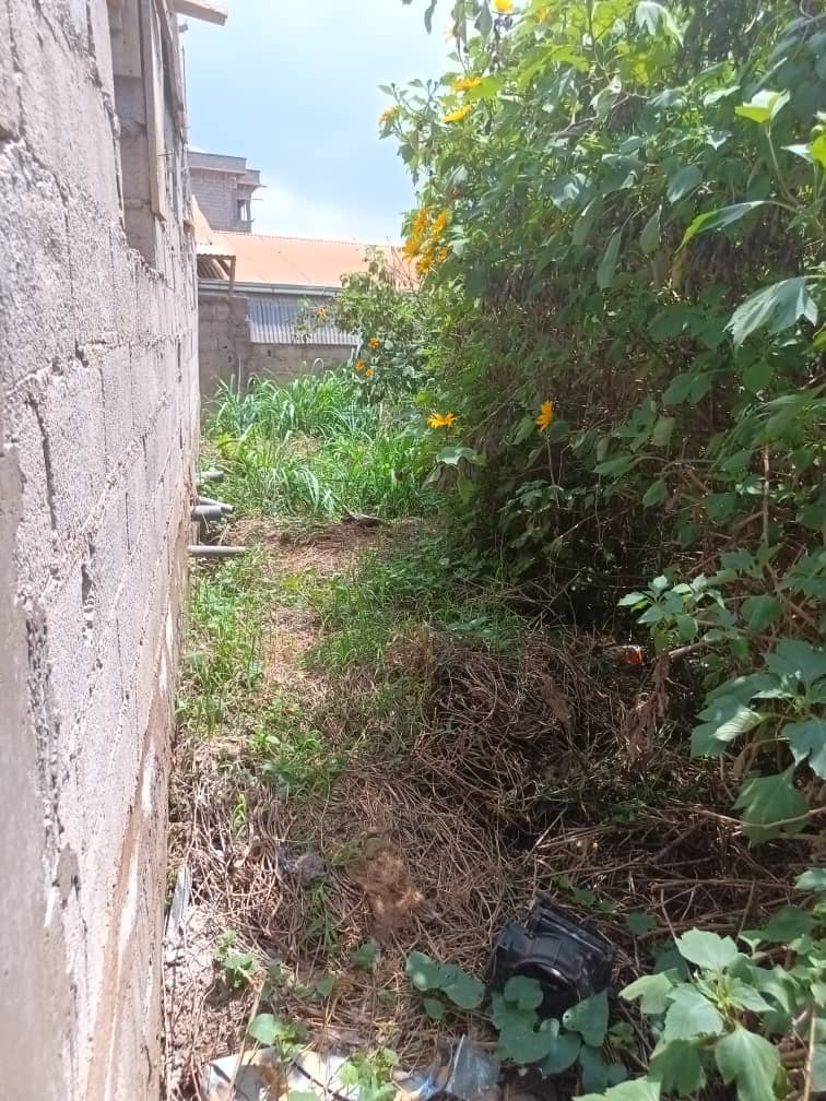 200m2 plot Area standing  — photo 7