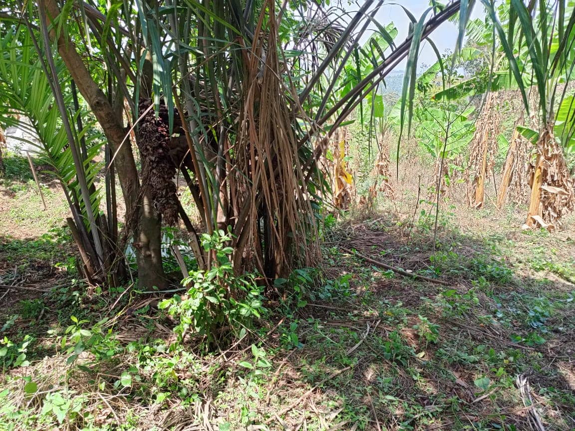 Plot and Land For sale — photo 3