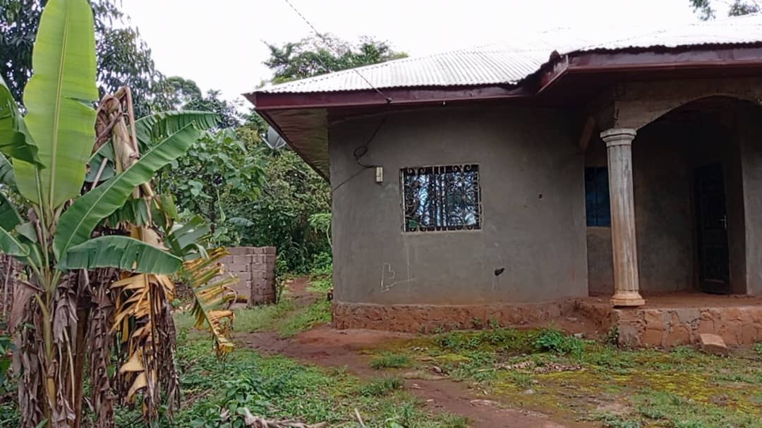 HOUSE FOR SALE  — photo 6